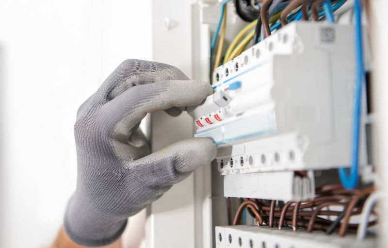Fuse Box Service detail